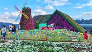 TP. Hồ Chí Minh -  Phan Thiết - Mũi Né - Đà Lạt 4 ngày 3 đêm