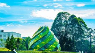 Combo 3N2Đ Golf Valley Đà Lạt 4* + Vé máy bay