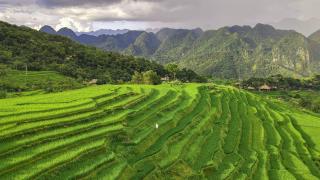 Tour Hà Nội - Pù Luông 2 ngày 1 đêm