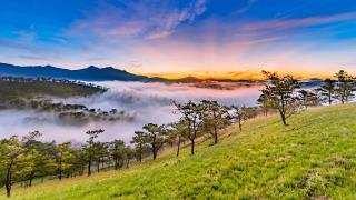 Combo 3N2Đ Dalat Wonder Resort 4* + vui chơi Wonderland không giới hạn