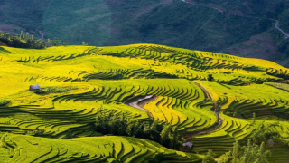 Hà Nội - Sapa - Cát Cát - Moana - Fansipan - Y Tý - Lũng Pô 4N3Đ