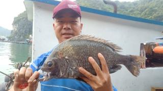 Tour Câu Cá Trên Biển Tại Vịnh Lan Hạ Cát Bà Buổi Sáng