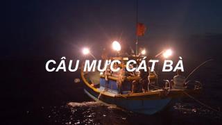 Tour Câu Mực Trên Vịnh Lan Hạ Đảo Cát Bà và Ngắm Lân Tinh
