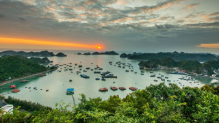 Hà Nội - Cát Bà 2 Ngày 1 Đêm : Chạm sóng biển xanh