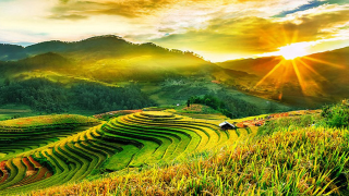 Hà Nội - Mộc Châu - Sơn La - Điện Biên - Lai Châu - Sapa 5 ngày 4 đêm: Săn Mây Tây Bắc