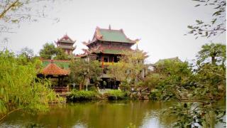 Tour khám phá Quy Nhơn 2 Ngày 1 Đêm