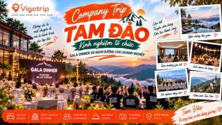 Company Trip Tam Đảo: Kinh nghiệm tổ chức Gala Dinner và nghỉ dưỡng cho doanh nghiệp