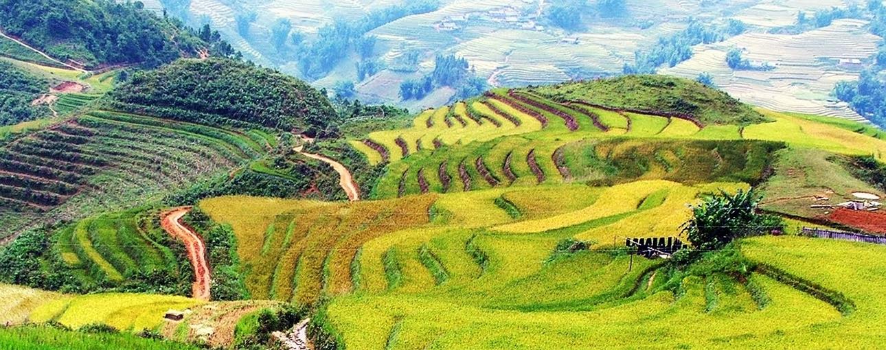 Bản Sín Chải Sapa