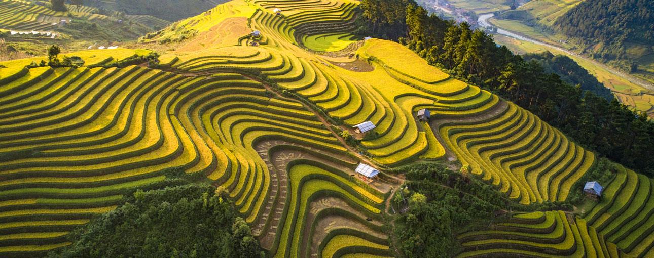 Tú Lệ