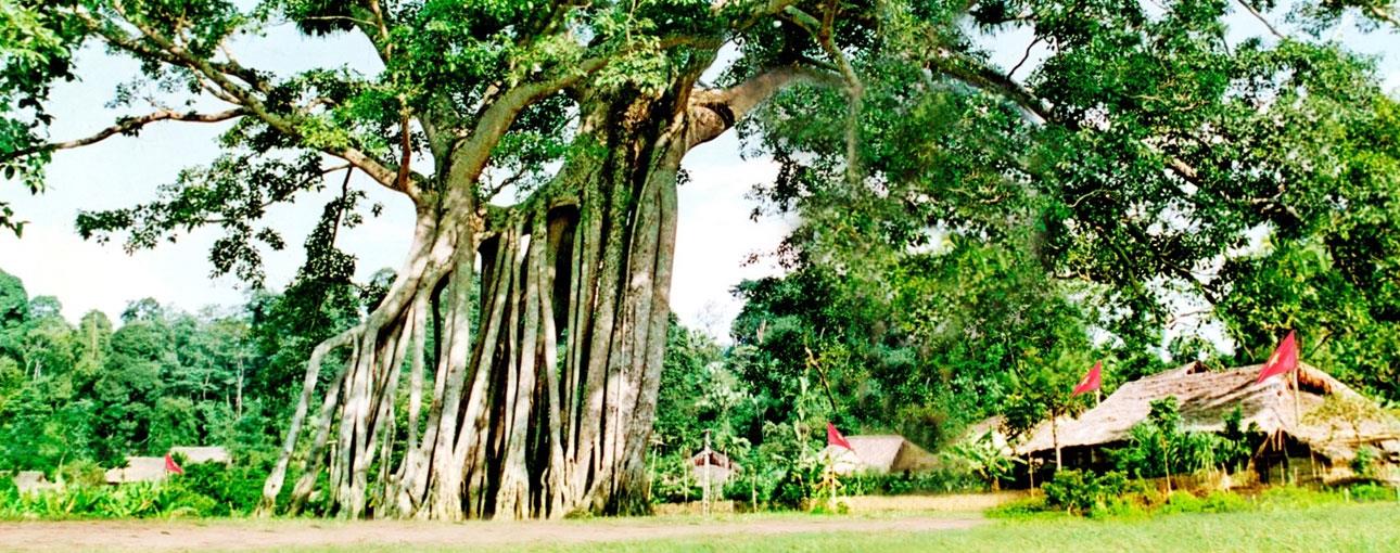 Chiến Khu Tân Trào Tuyên Quang