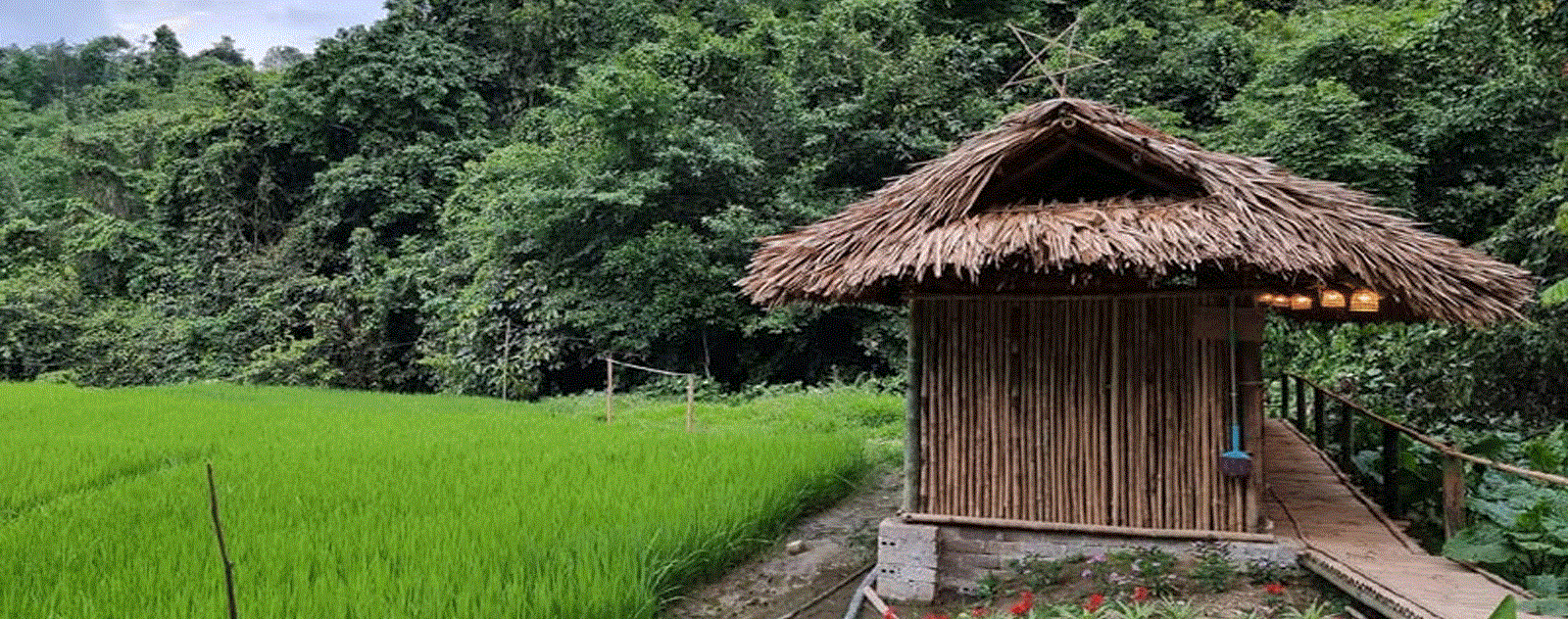 Khu cắm trại Nà Bai