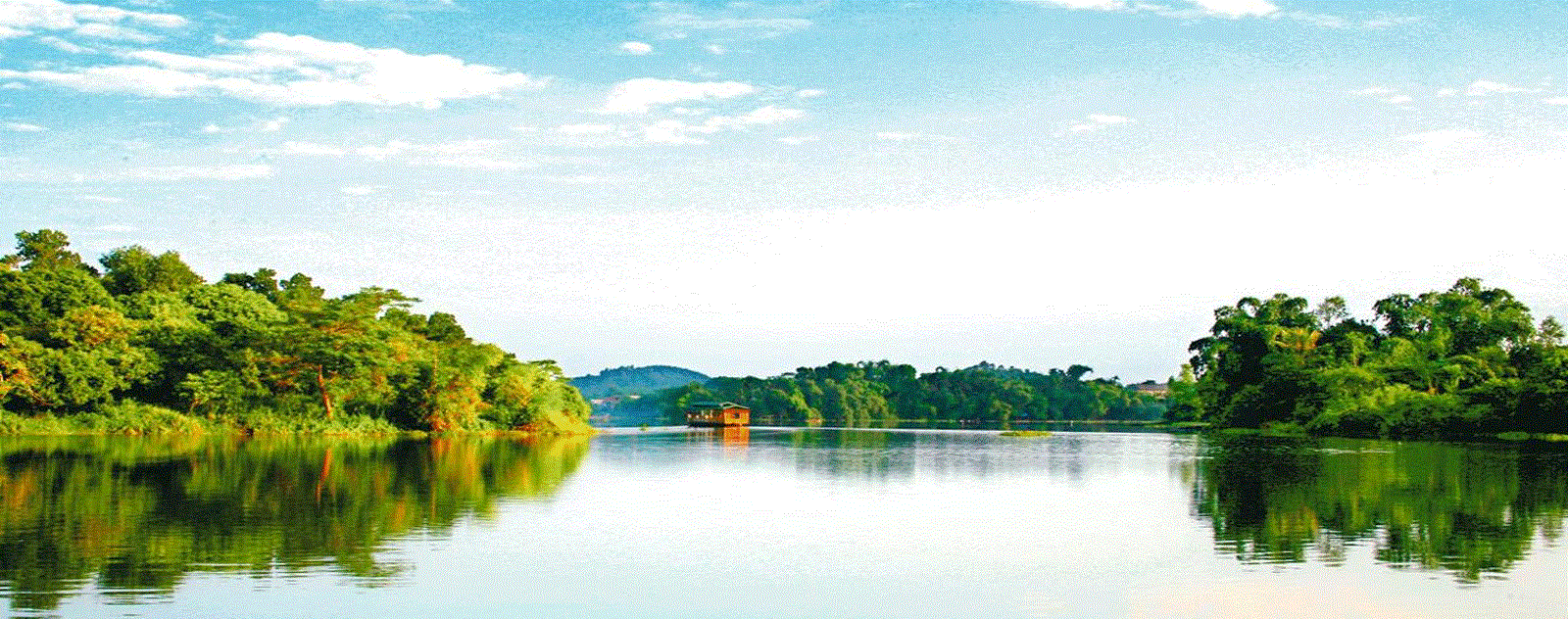 Hồ Ly