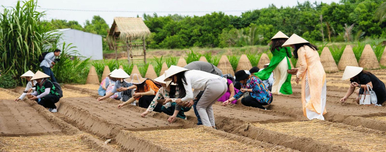 Cồn Ông