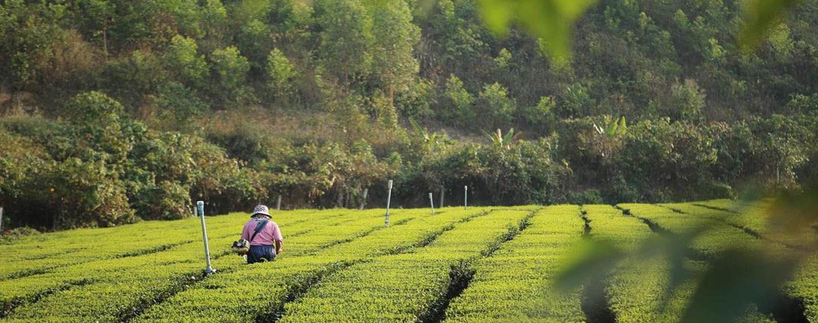 Bản Ven Yên Thế