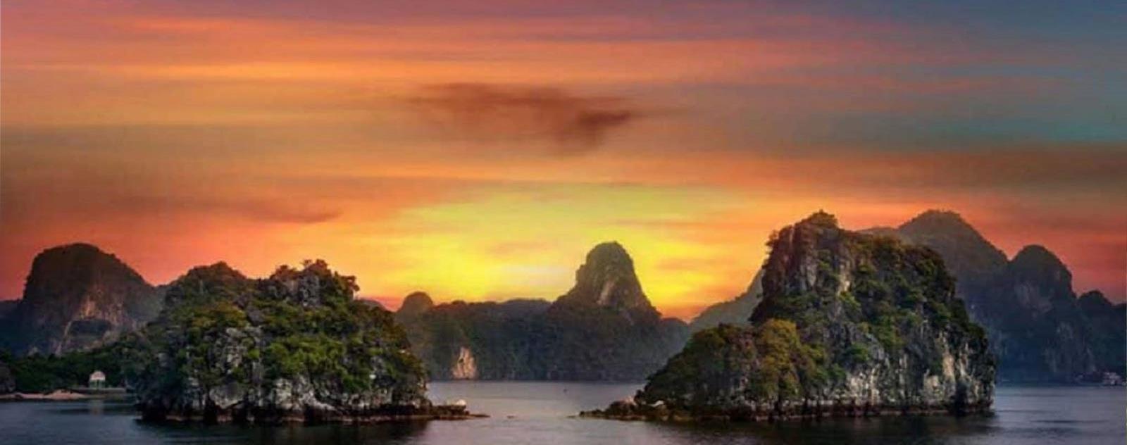 Đảo Thẻ Vàng