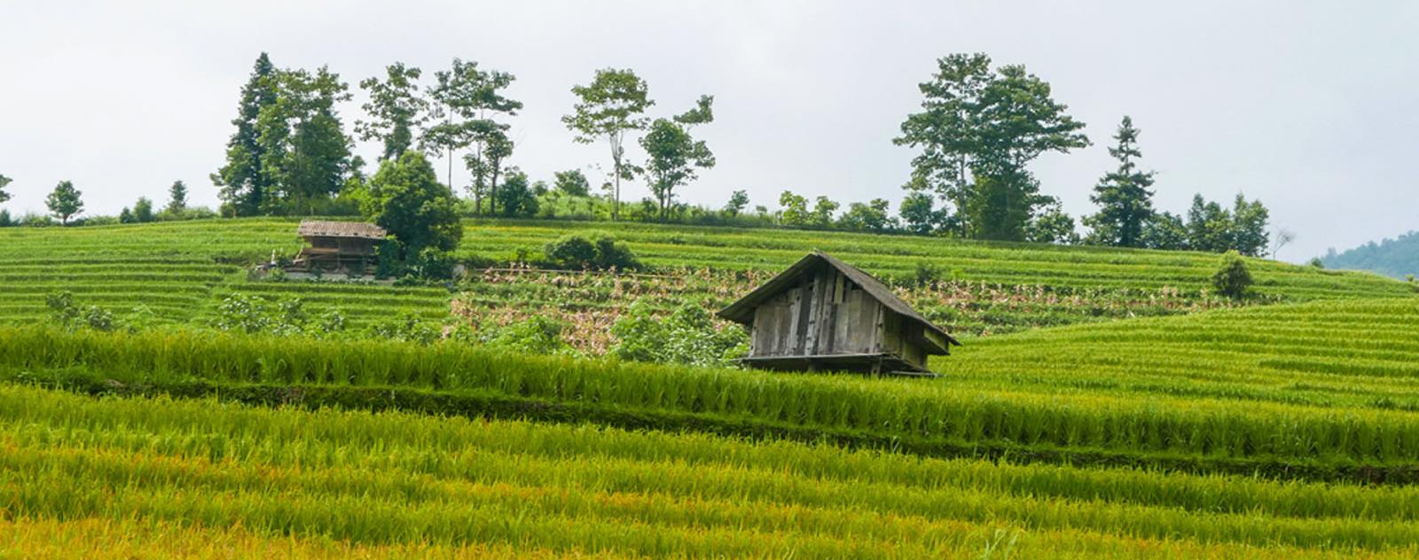 Nậm Sài Sapa