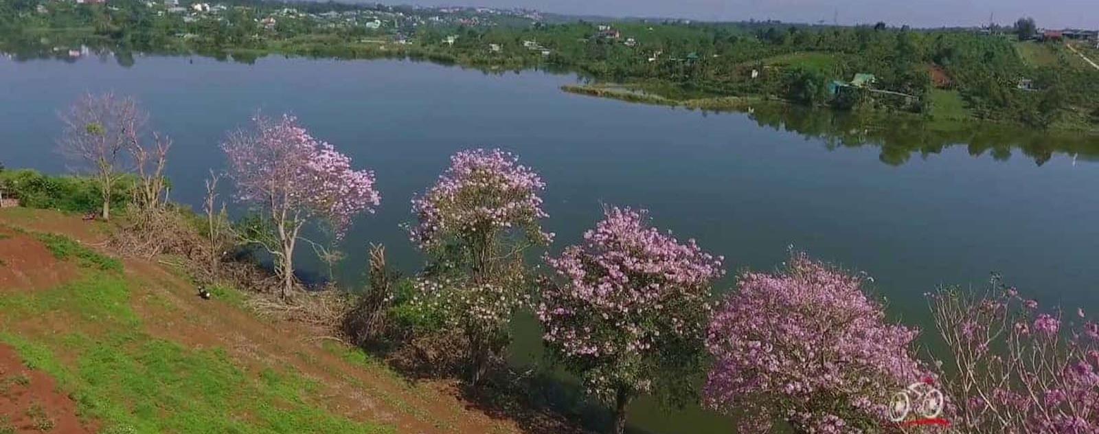 Hồ Nam Phương Lâm Đồng