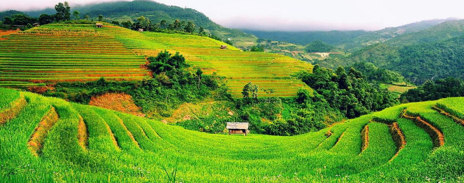 Tả Giàng Phình Sapa