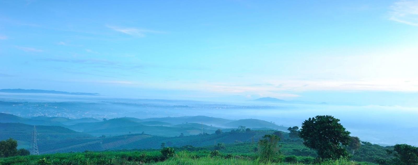 Đồi Lam Sơn Bảo Lộc