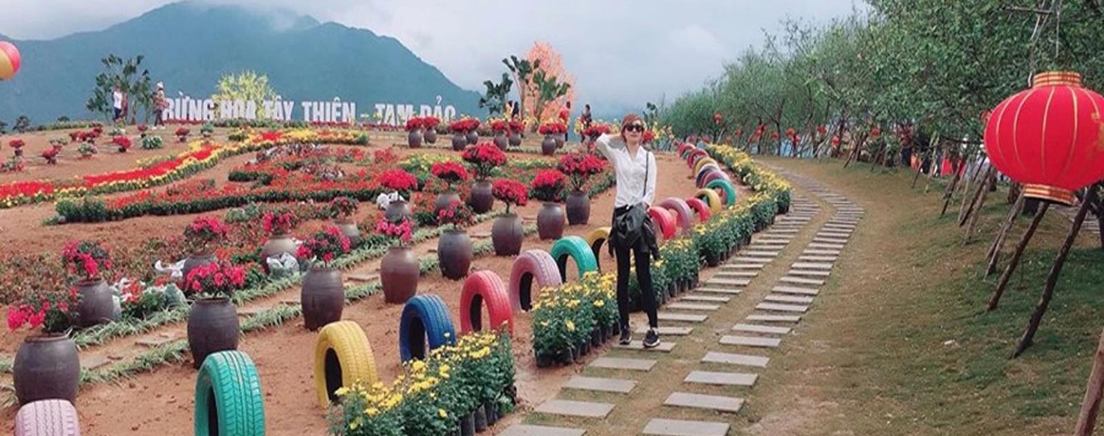 Vườn hoa Tây Thiên Tam Đảo