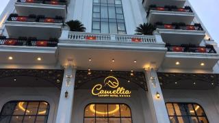 Khách sạn Camellia Luxury Tam Đảo Hotel