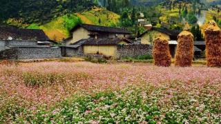 Thung lũng Sủng Là Hà Giang