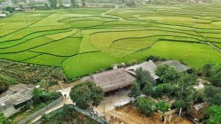 Mường Lò Farmstay Yên Bái