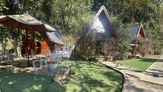 Eco Rose Homestay Điện Biên