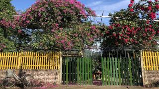 Meliora Ba Vì Homestay