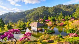 Đà Lạt 2 Ngày 1 Đêm