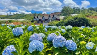 Đà Lạt 3 Ngày 2 Đêm