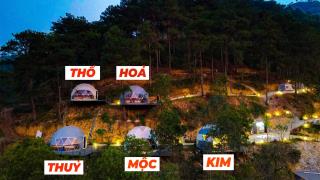 Pine House Đồng Đò Homestay