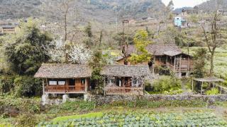 Homestay Lô Lô Eco House Hà Giang