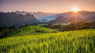 Du lịch Pù Luông tháng 10 có gì hấp dẫn? Mùa lúa chín đẹp nhất trong năm