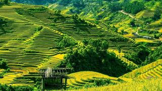 Du lịch Pù Luông tháng 8 có gì hấp dẫn? Mùa xanh đậm và mây sương núi rừng