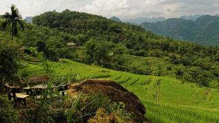 Du lịch Pù Luông tháng 11 có gì hấp dẫn? Cuối mùa lúa chín và không khí đầu đông yên bình