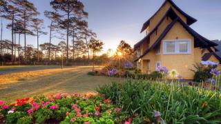 Du lịch Đà Lạt tháng 7: Mùa mưa cao nguyên và kỳ nghỉ dưỡng chậm rãi